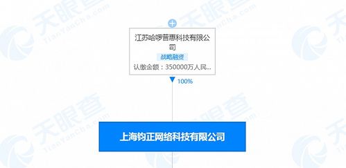 哈啰出行關聯公司注冊資本增至35億人民幣，信息系統集成服務或成戰略新支點
